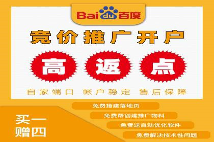 行业经典案例：SEM推广代运营如何助力销售增长